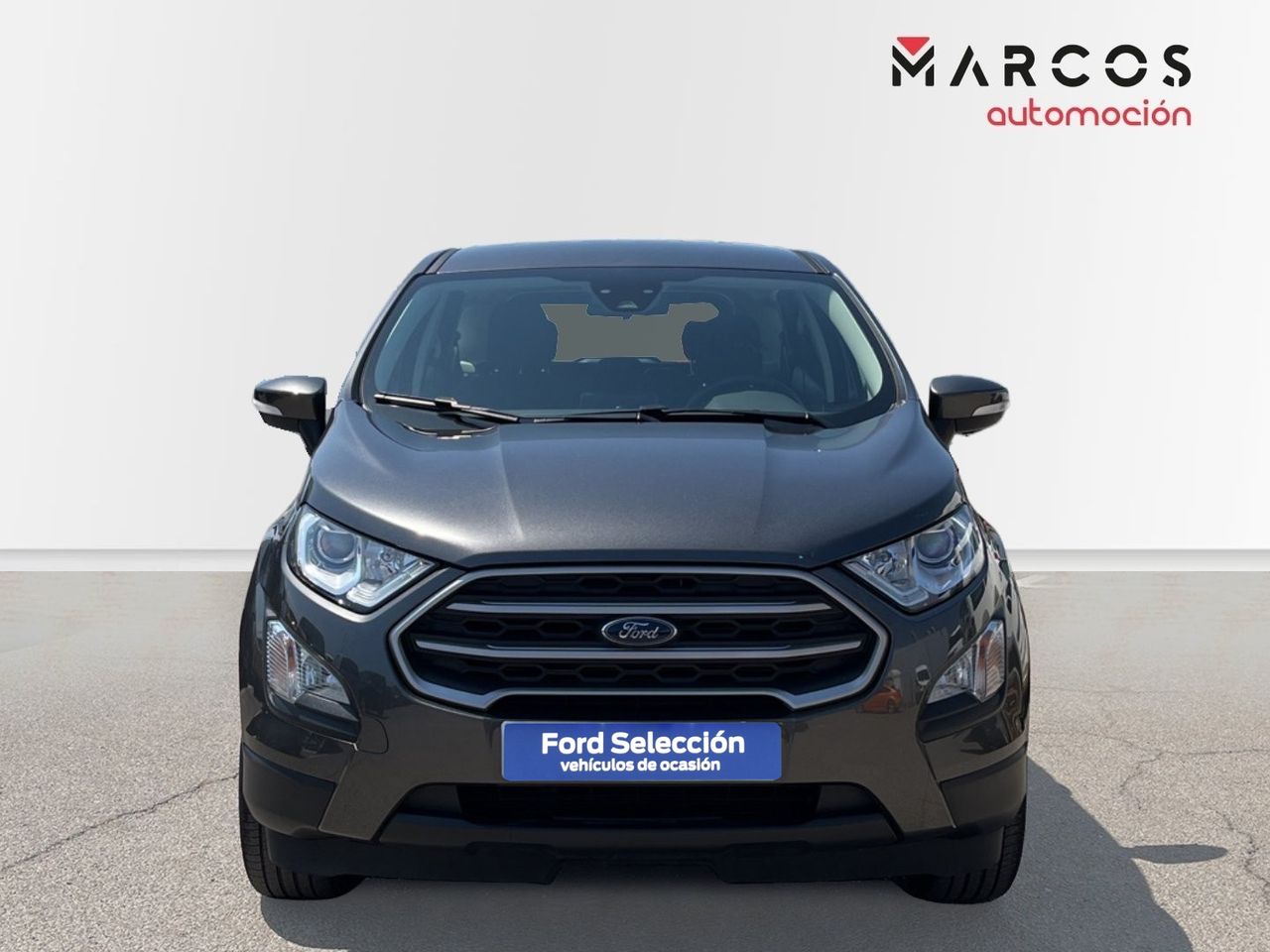 ford ecosport 2020 / foto grande (2)