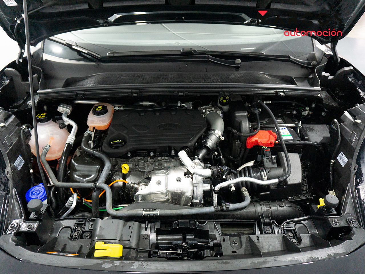 Ford Puma 1.5 ECOBLUE 88KW TITANIUM 5P - foto 13