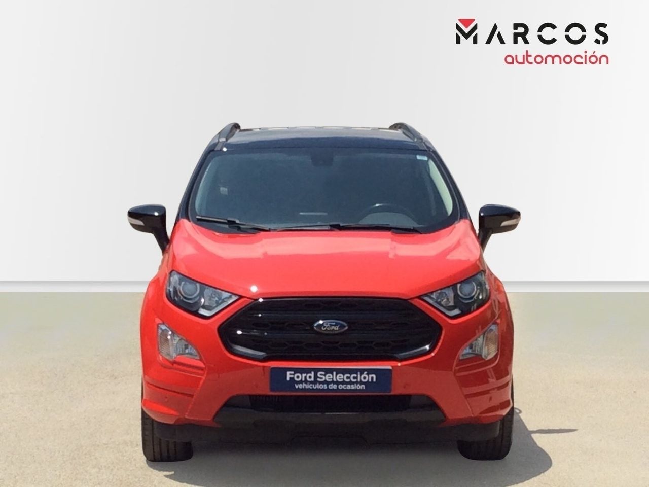 ford ecosport 2019 / foto grande (2)