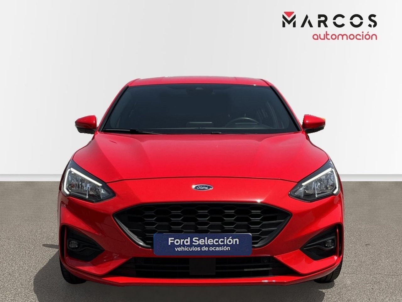 ford focus 2019 / foto grande (2)