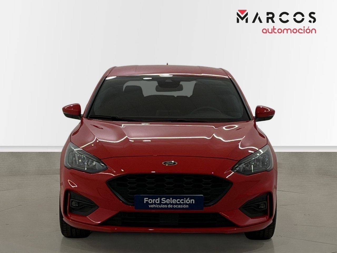 ford focus 2019 / foto grande (2)