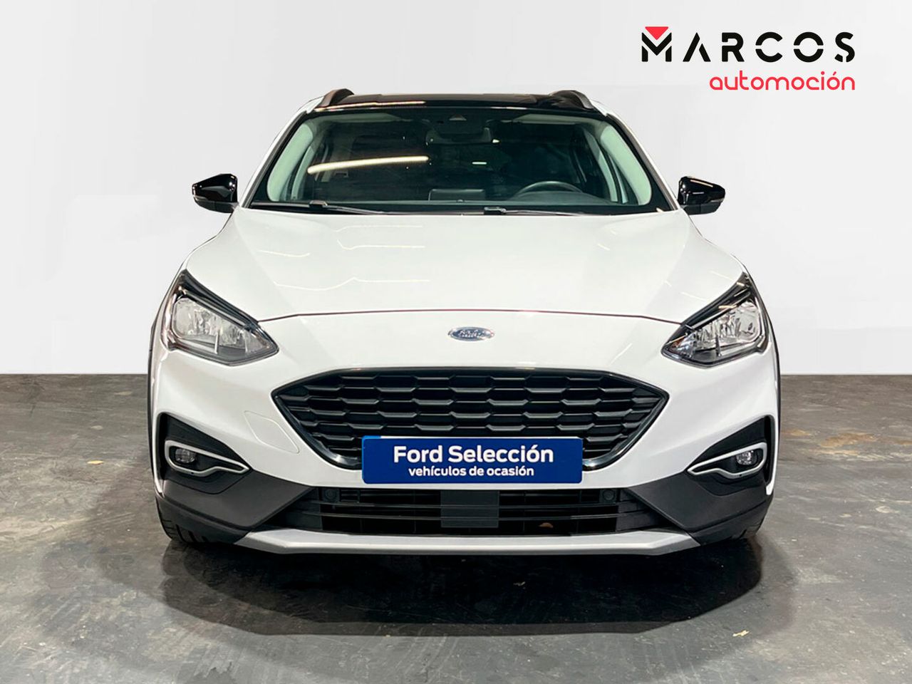 ford focus 2019 / foto grande (2)