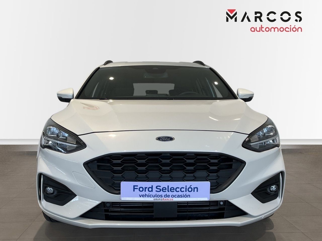 ford focus 2022 / foto grande (2)