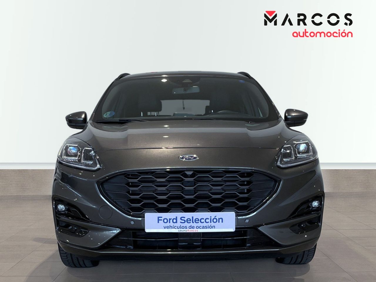 ford kuga 2022 / foto grande (2)