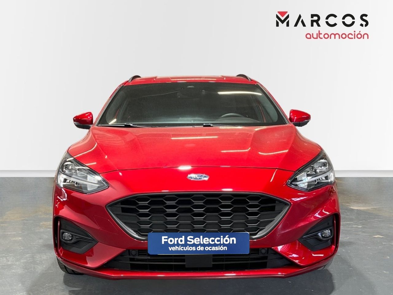ford focus 2022 / foto grande (2)