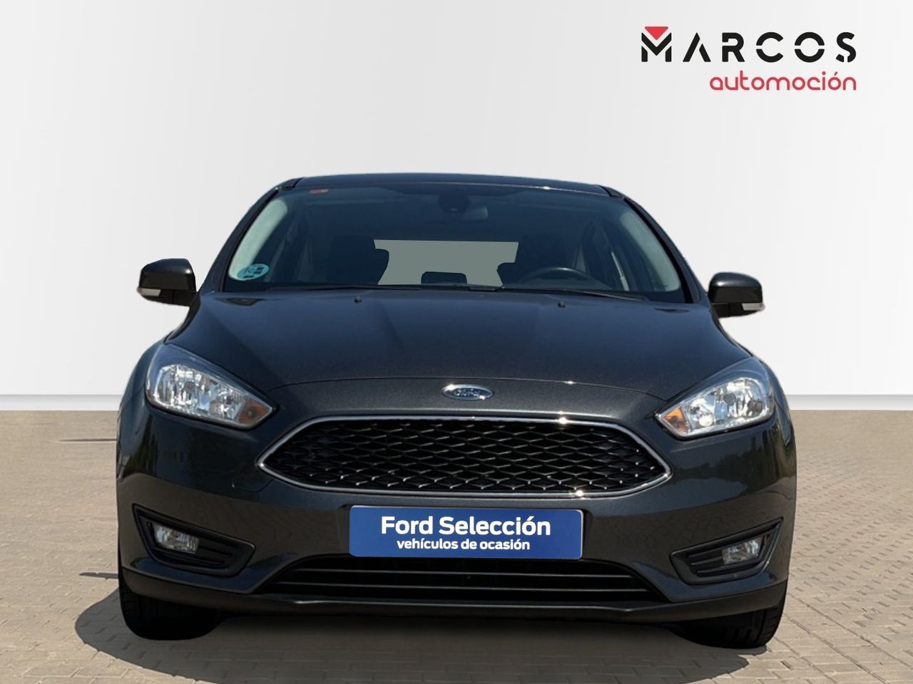 ford focus 2018 / foto grande (2)