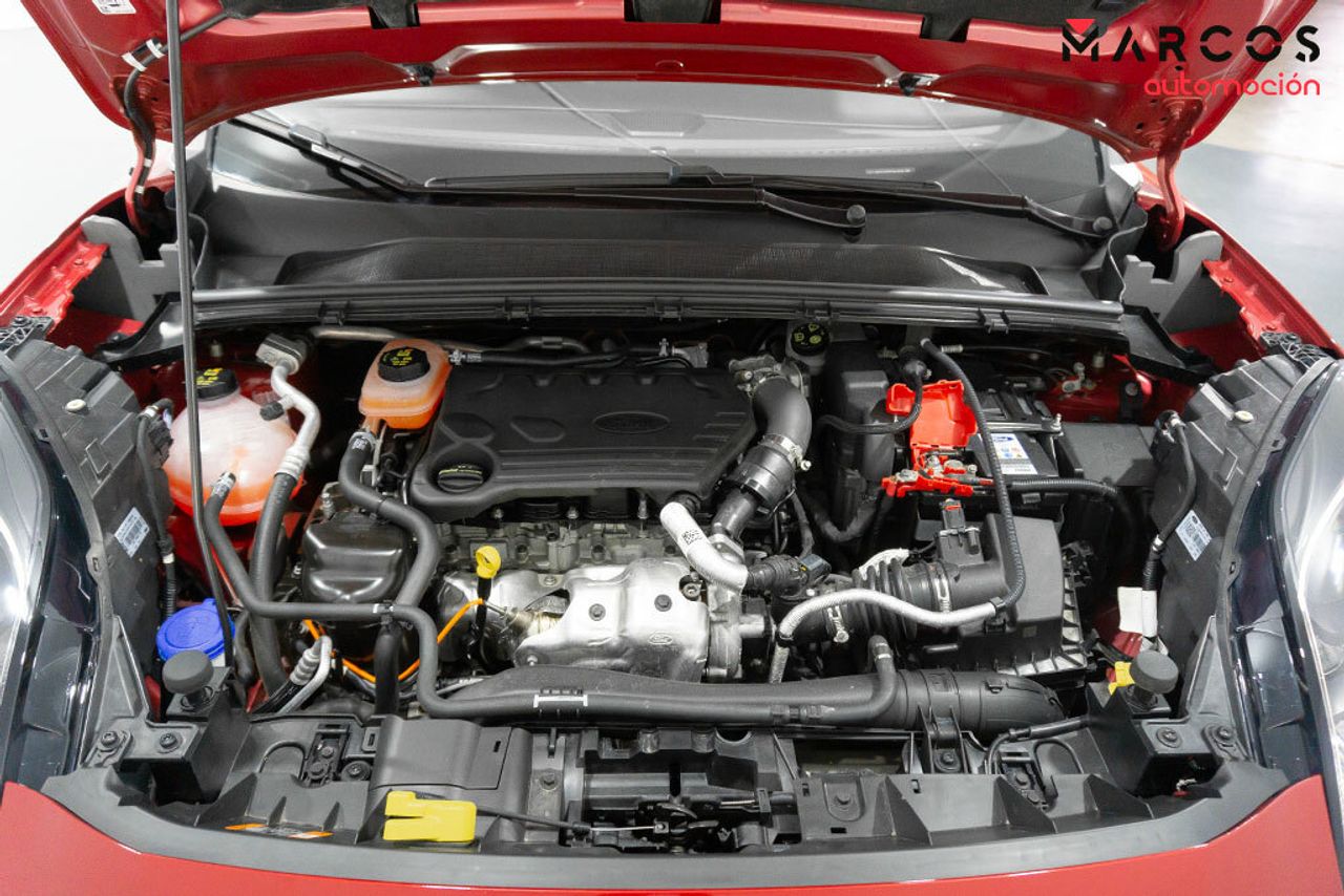 Ford Puma 1.5 ECOBLUE 88KW ST-LINE X 5P - foto 13