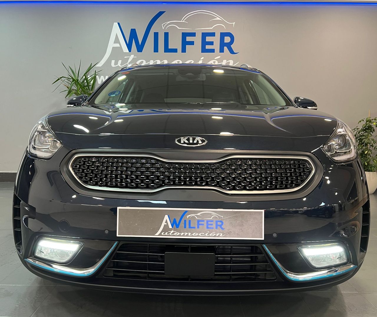 kia niro 2018 / foto grande (3)