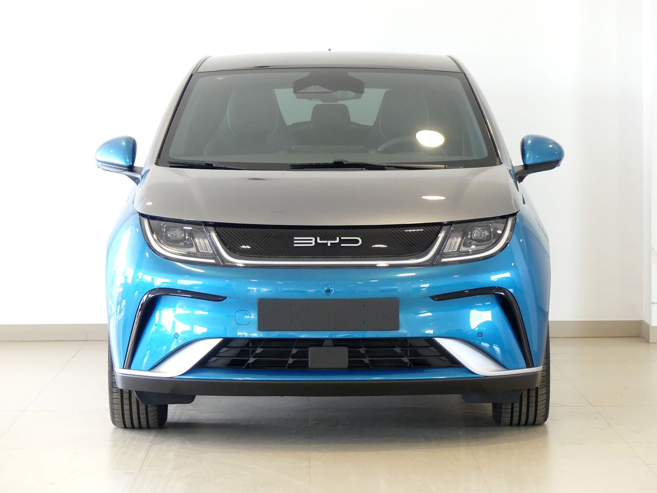 byd dolphin 2025 / foto grande (2)