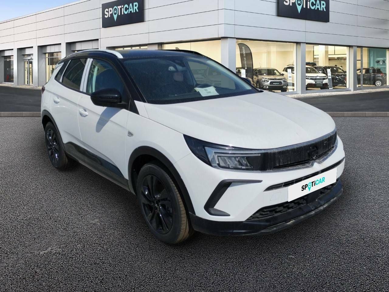 opel grandland x 2023 / foto grande (3)