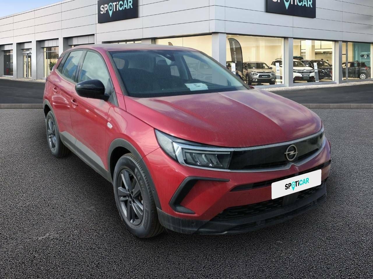 opel grandland x 2023 / foto grande (3)