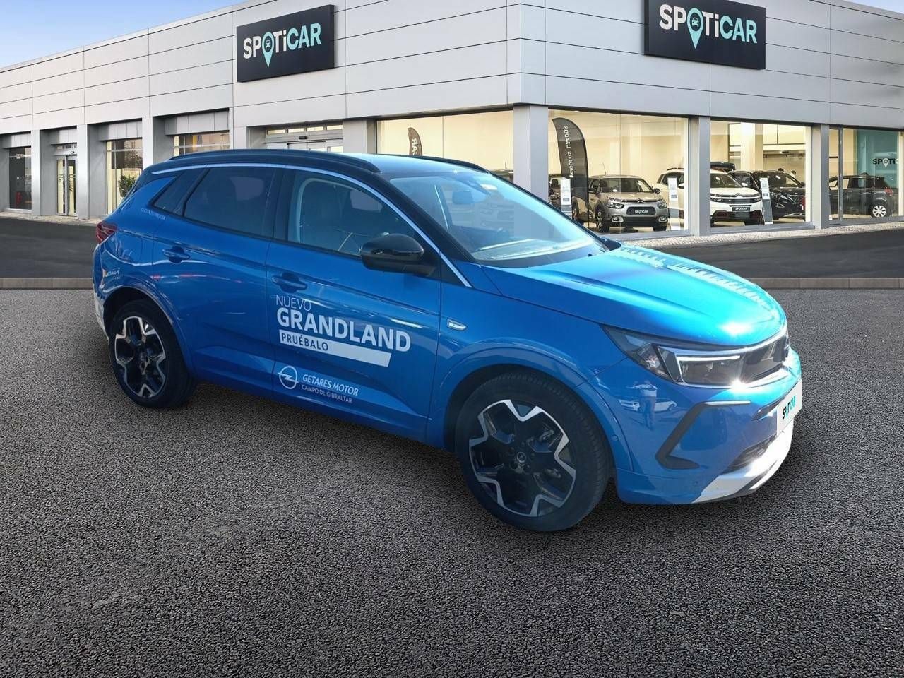 opel grandland x 2022 / foto grande (3)