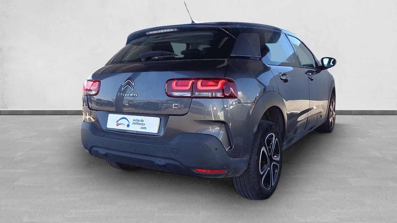 citroën c4 cactus 2020 / foto grande (2)