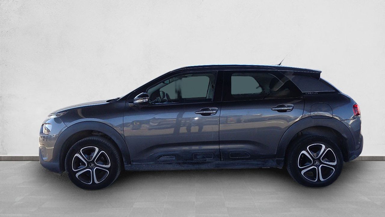 citroën c4 cactus 2020 / foto grande (3)