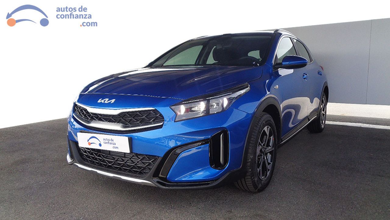 kia xceed 2025 /