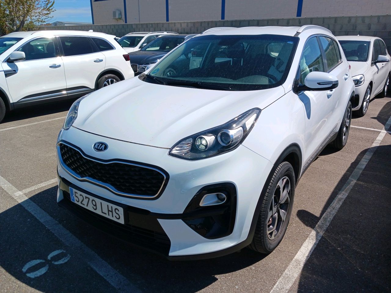 Mini  de segunda mano - kia sportage 2020 /