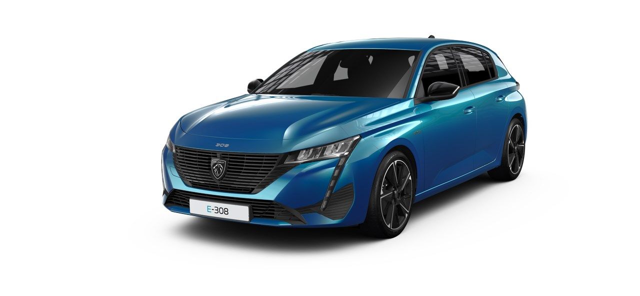 Loro de compania  - peugeot e-308 2024 /