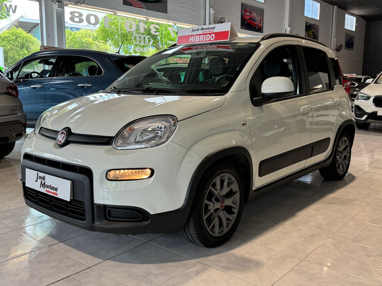 Foto fiat panda 2022 /