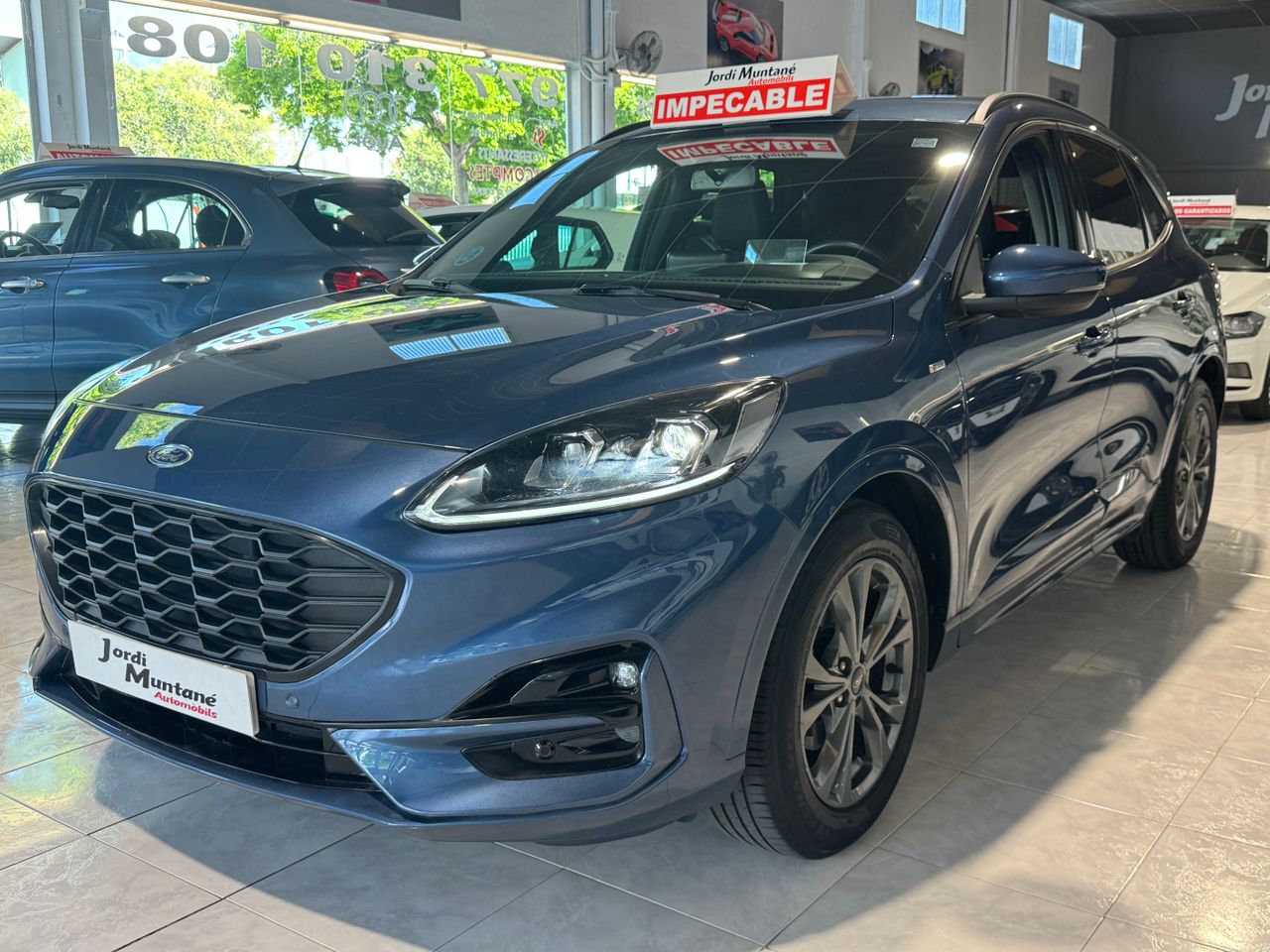 Foto ford kuga 2022 /