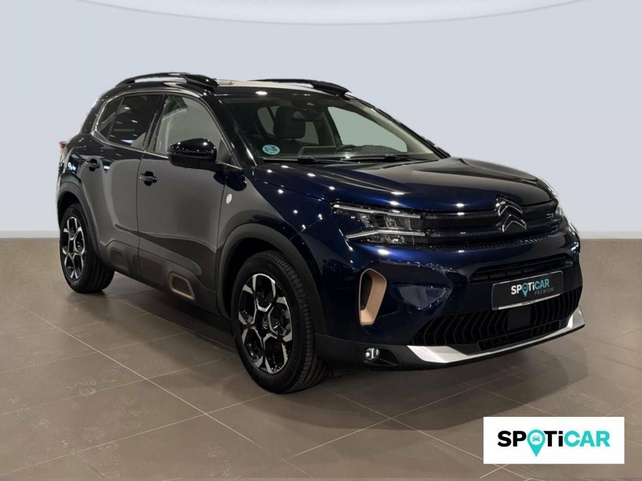 citroën c5 aircross 2022 / foto grande (3)