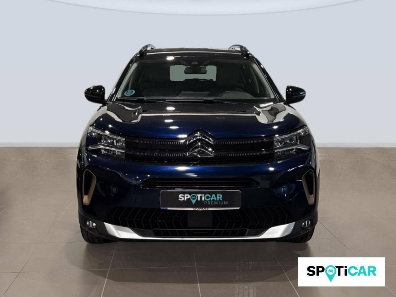 citroën c5 aircross 2022 / foto grande (2)