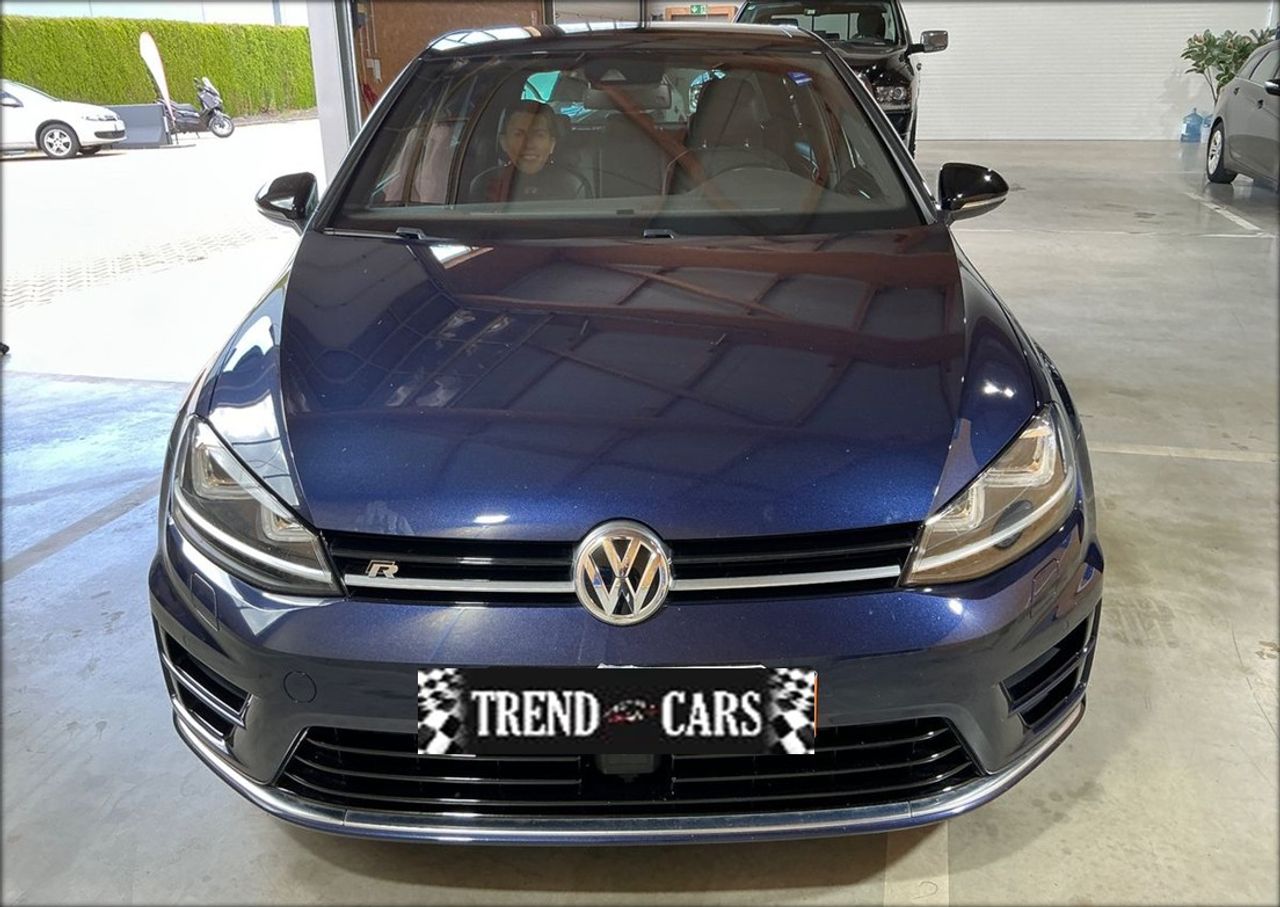 volkswagen golf 2014 / foto grande (2)