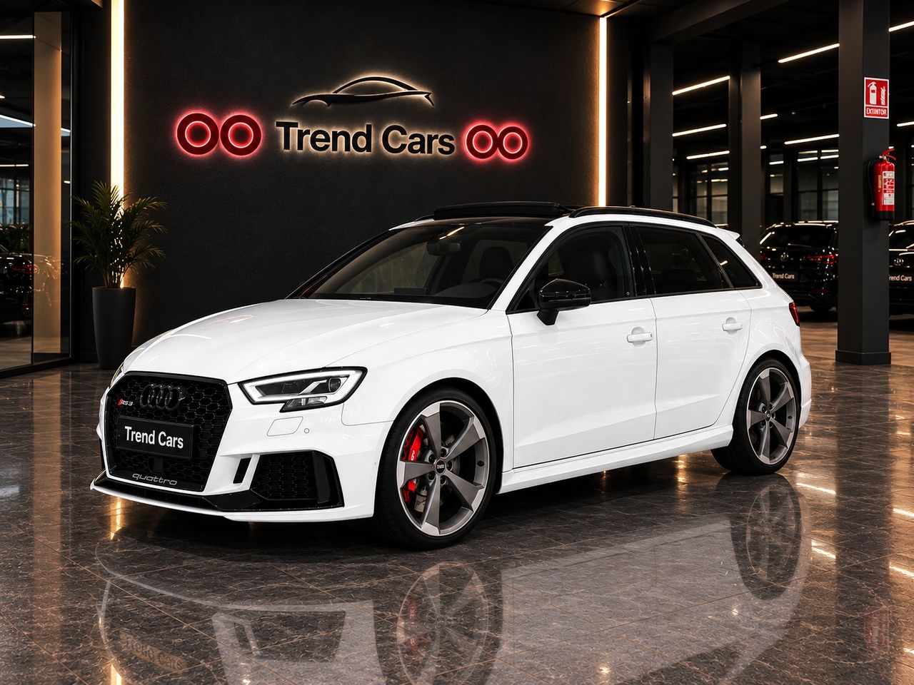 Audi A3 RS 3 Sportback 2.5 TFSI 294 kW