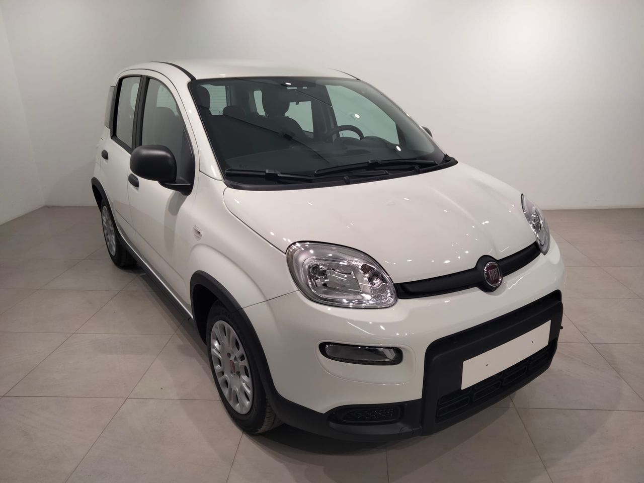 fiat panda 2024 / foto grande (3)