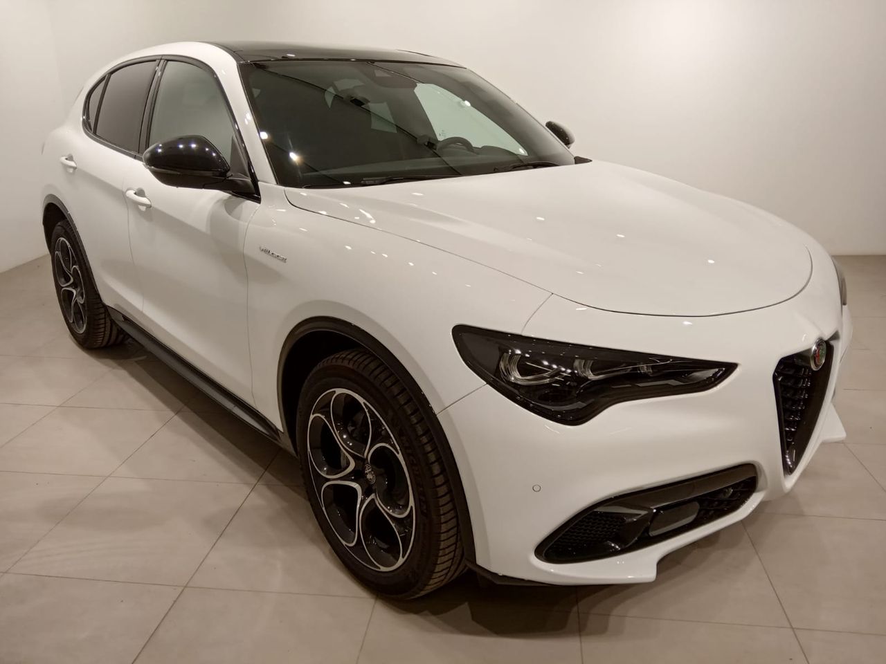 alfa romeo stelvio 2024 / foto grande (3)
