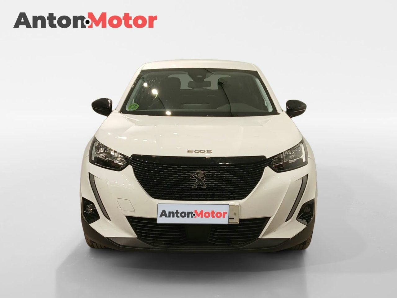 peugeot 2008 2021 / foto grande (2)