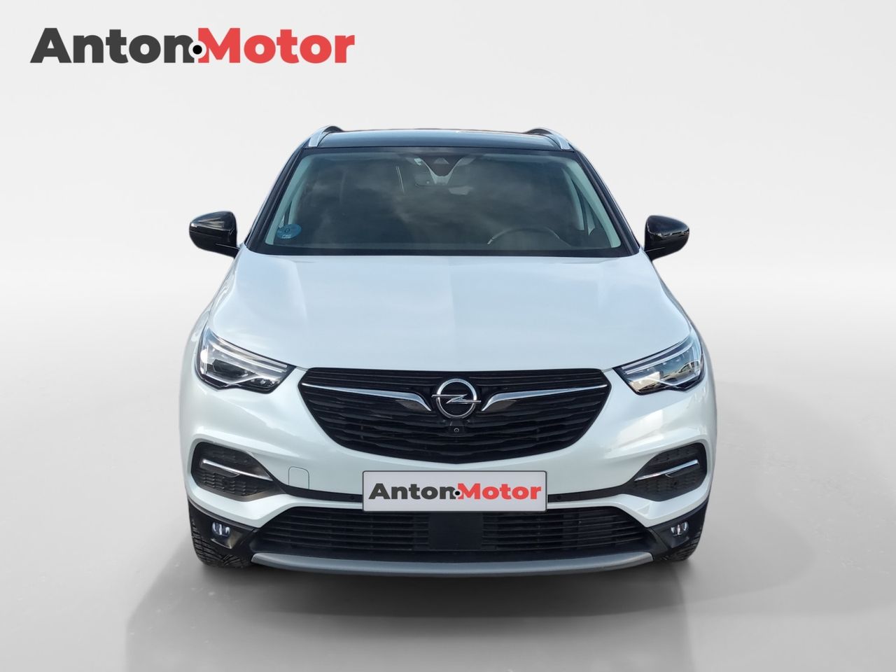 opel grandland x 2020 / foto grande (2)