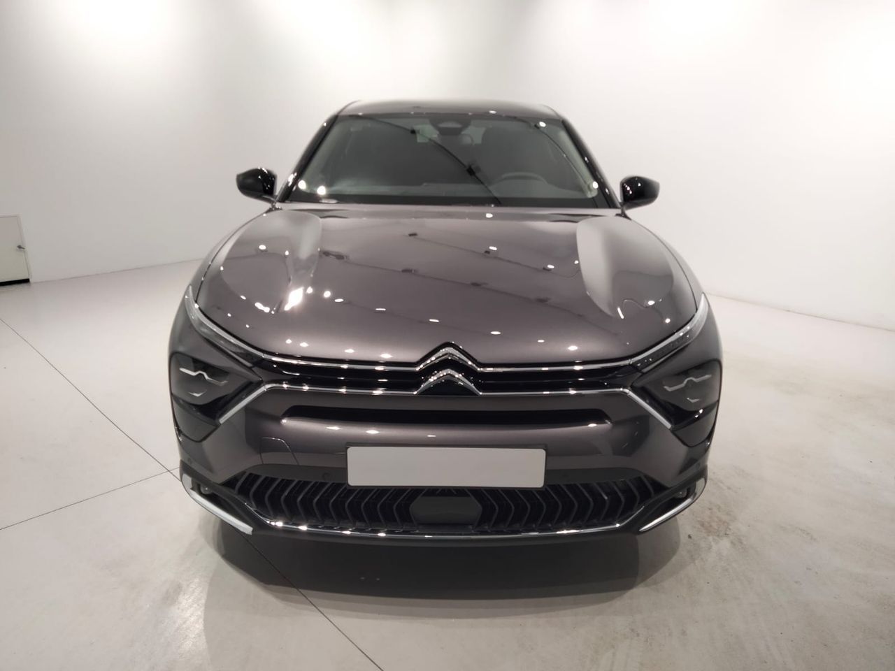 citroën c5 x 2023 / foto grande (2)