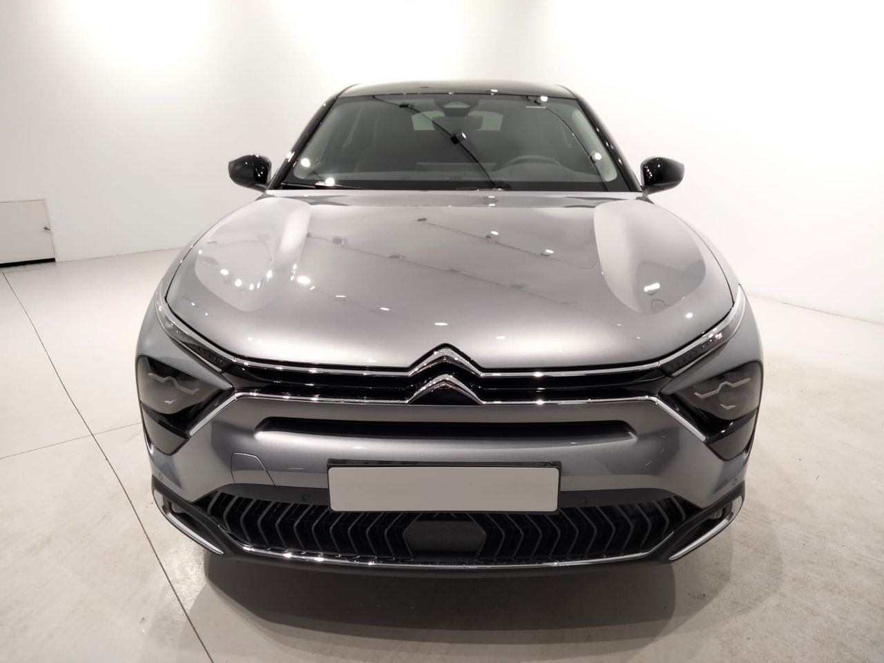 citroën c5 x 2023 / foto grande (2)