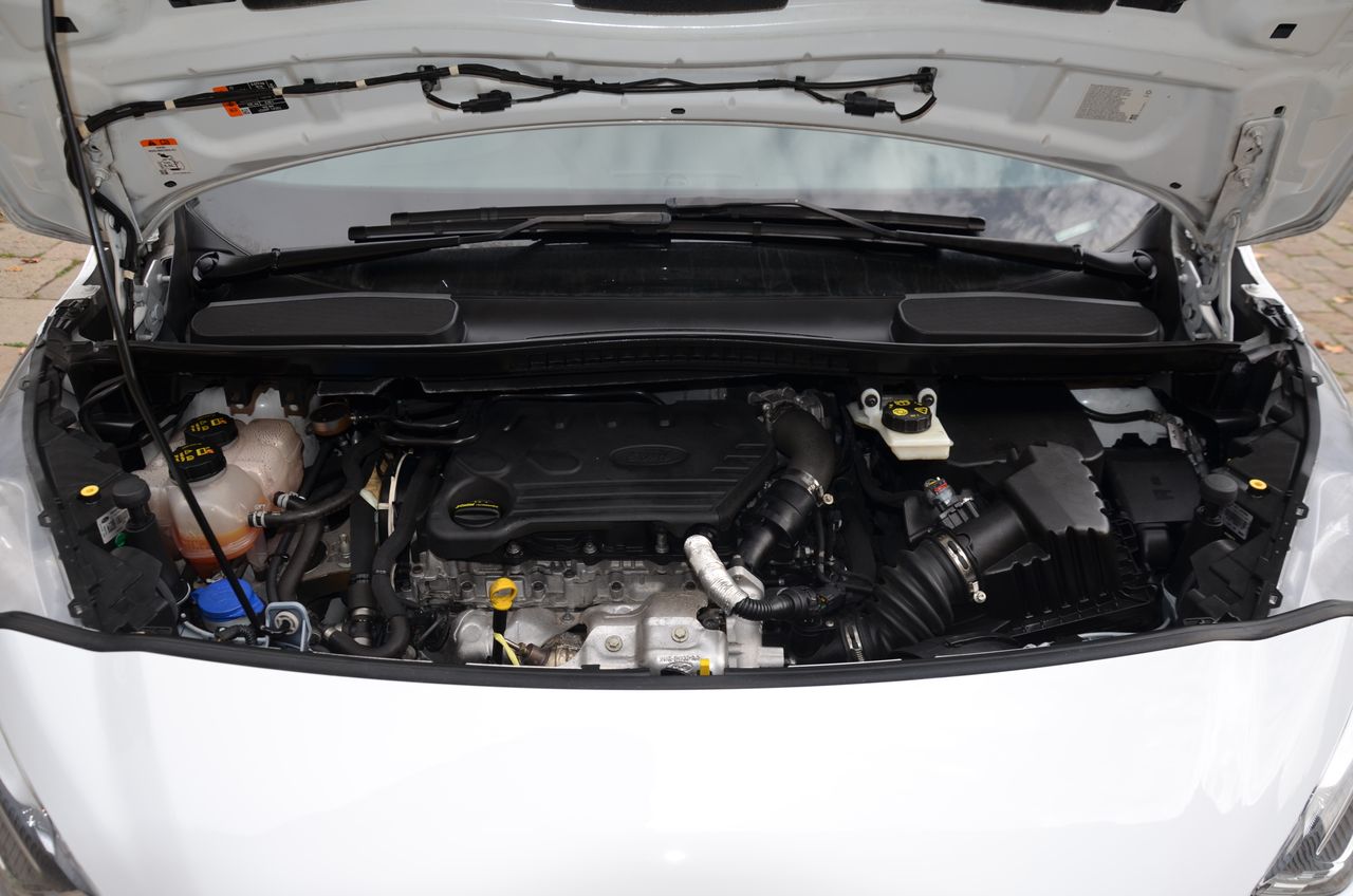 Ford Transit Connect VAN 1.5TDCI 88KW TREND 220 L1 JATO ( LUJO ) AUT/.. BACA GRANDE Y BOLA DE REMOLQUE  EXTRAIBLE  - Foto 49