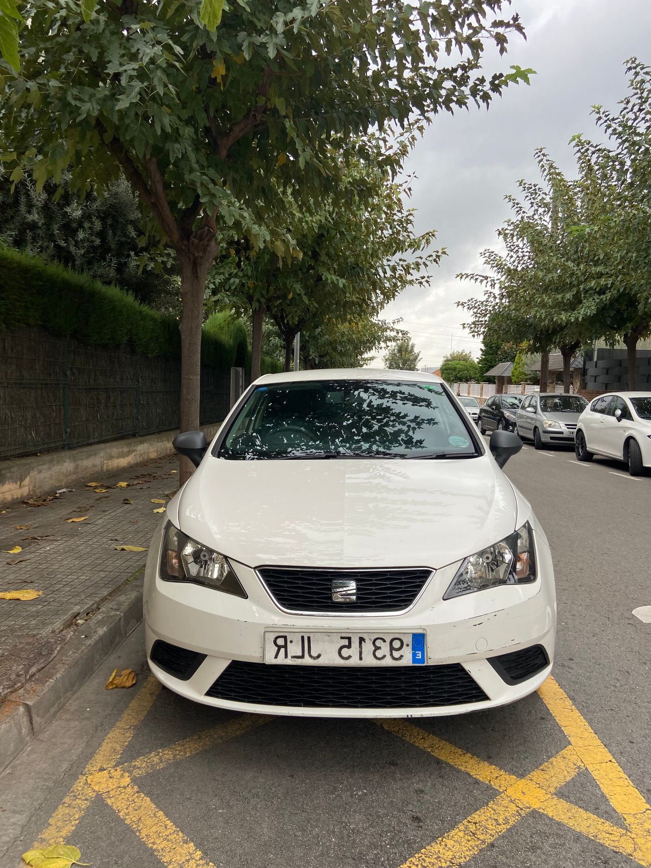 Seat Ibiza SC 1.4 TDI CR 75 Ecomotive Reference Plus 3p  - Foto 13
