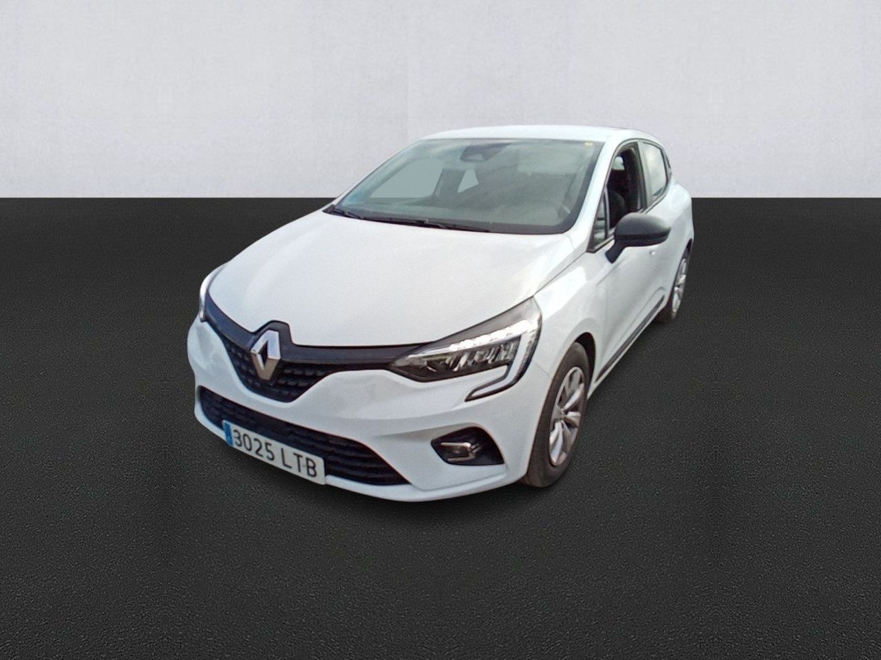 Loro de compania  - renault clio 2021 /