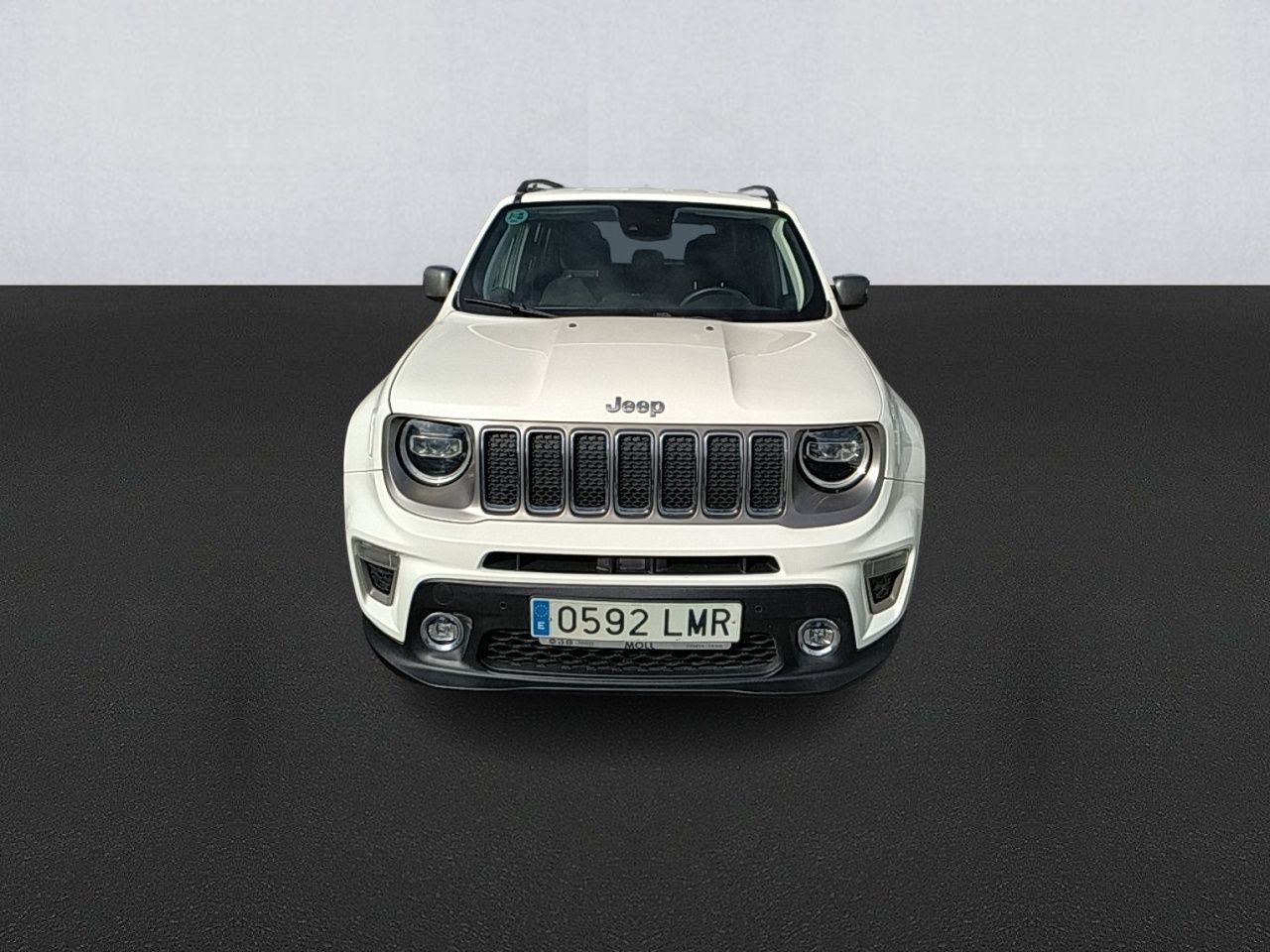 jeep renegade 2021 / foto grande (2)