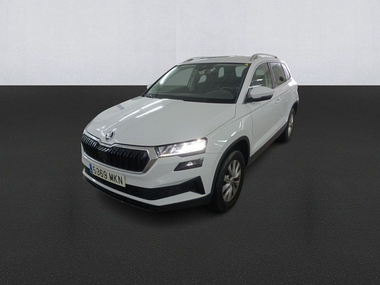 Foto skoda karoq 2023 /