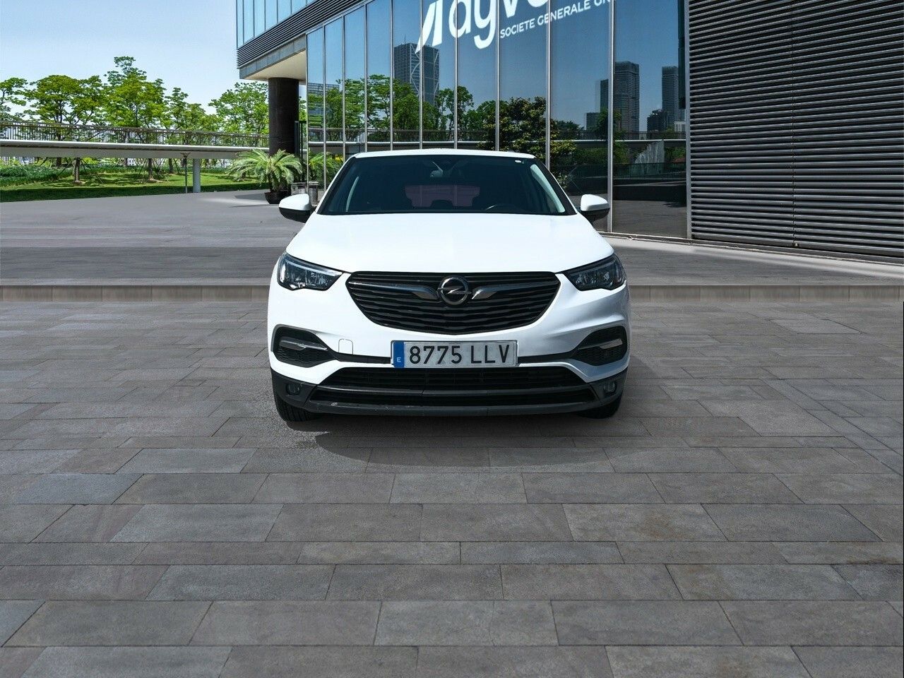 opel grandland x 2020 / foto grande (2)