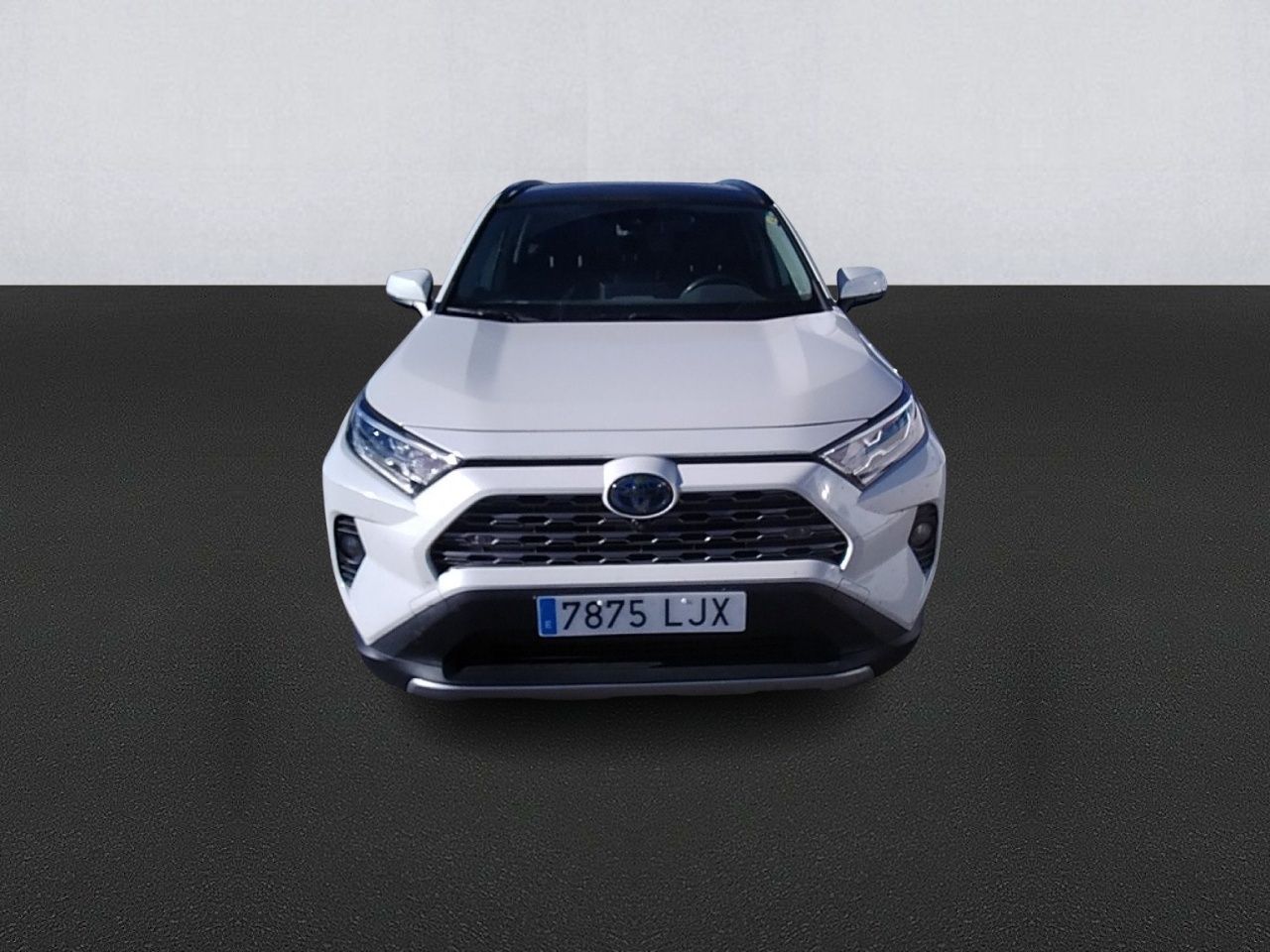 toyota rav4 2020 / foto grande (2)