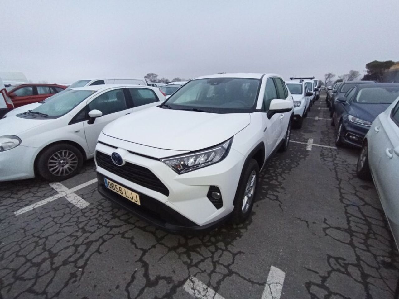 Foto toyota rav4 2020 /