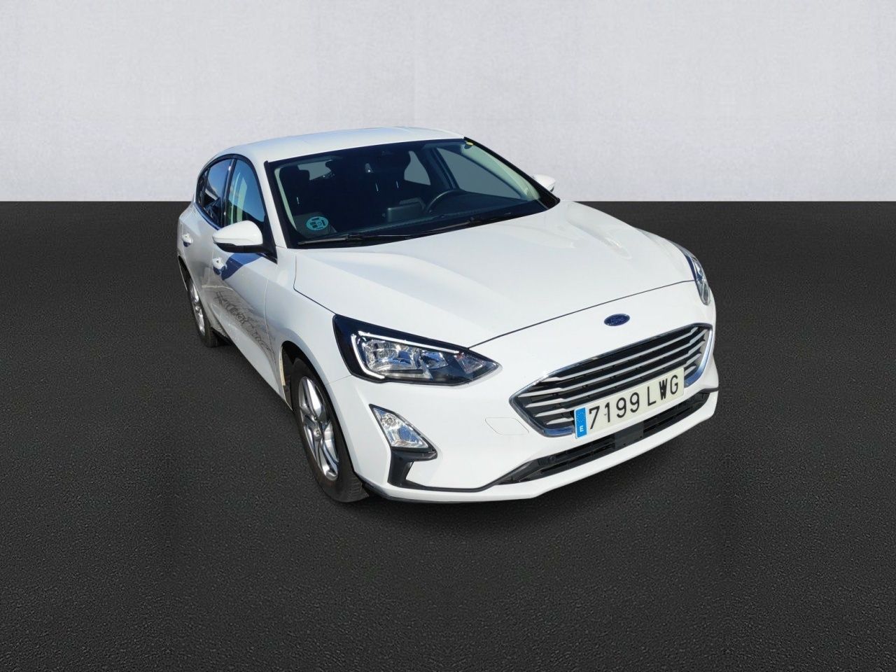 ford focus 2022 / foto grande (3)