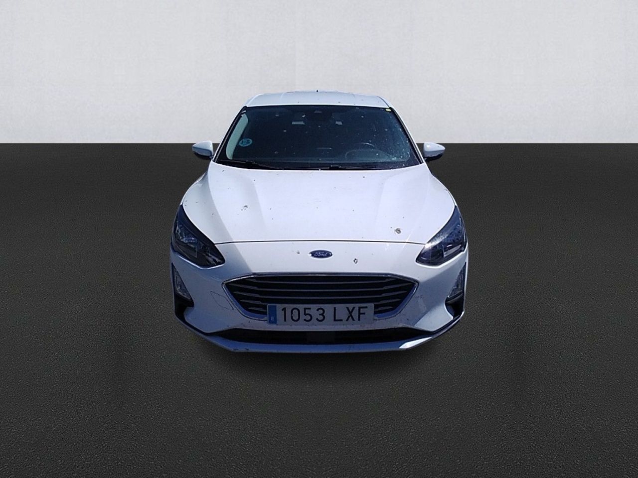 ford focus 2022 / foto grande (2)
