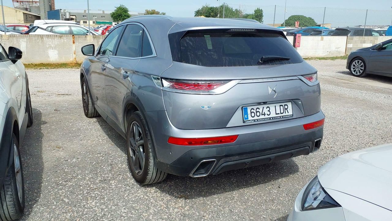 ds ds 7 2019 / foto grande (2)