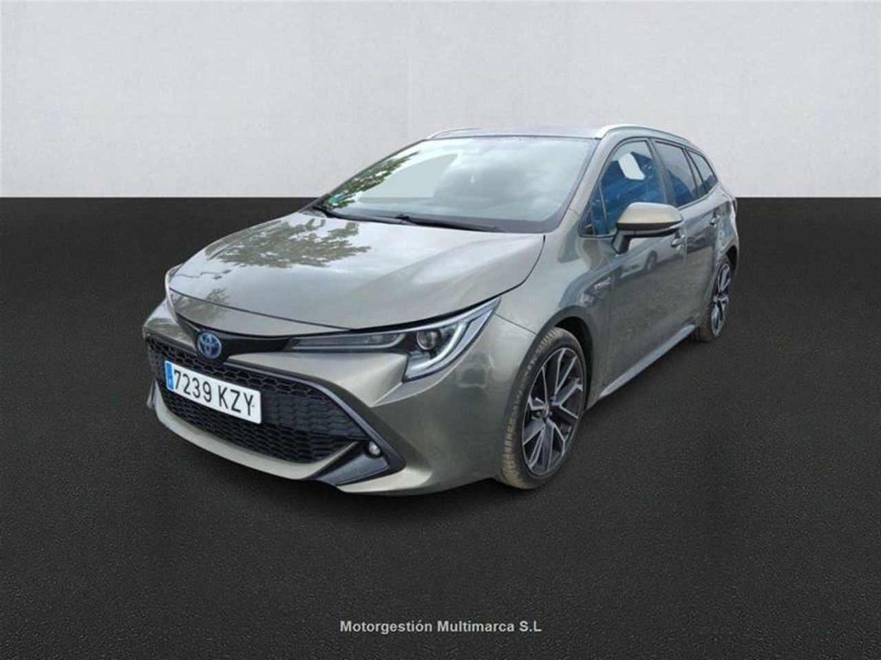 toyota corolla 2019 /