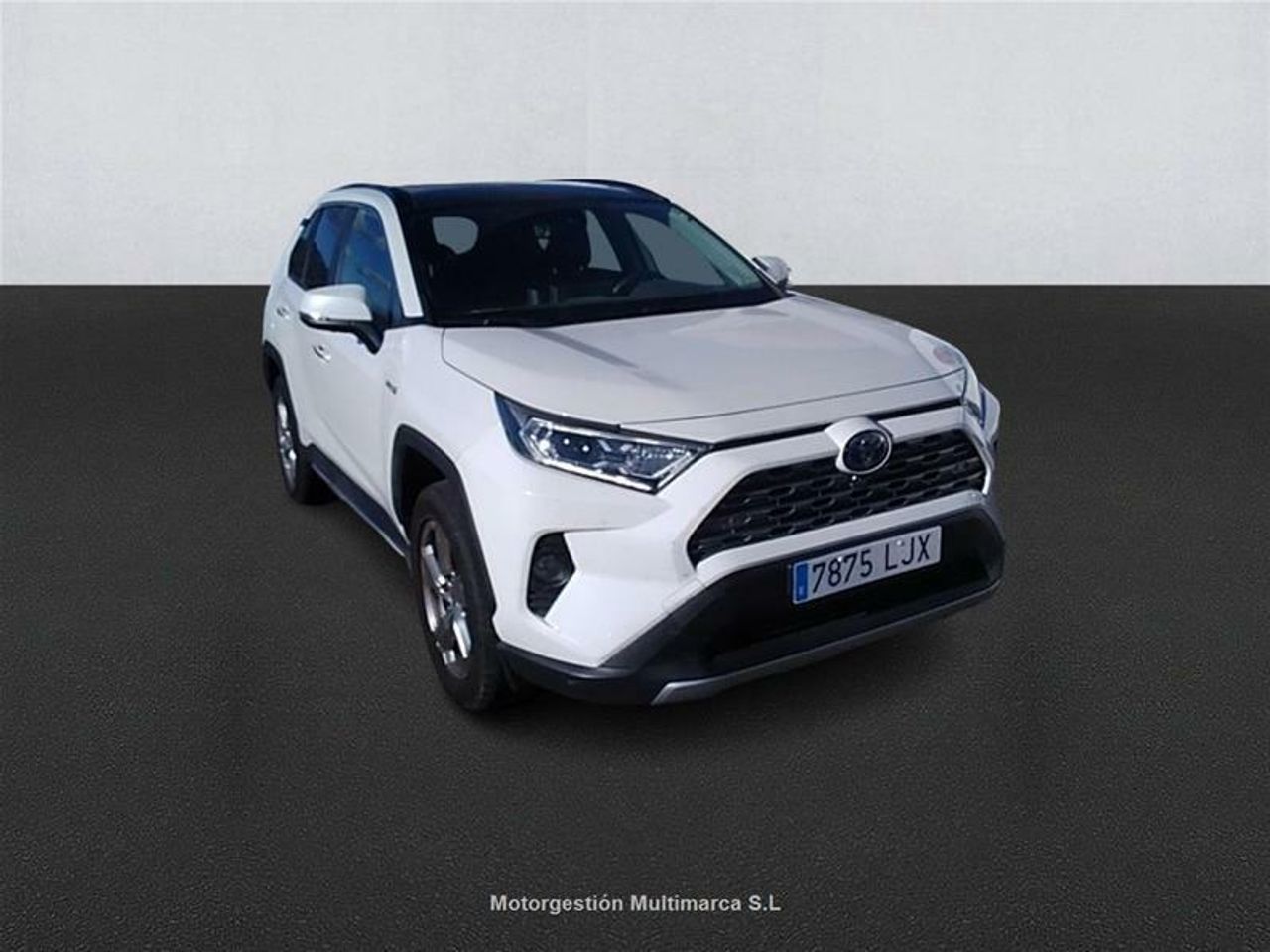 toyota rav4 2020 / foto grande (3)
