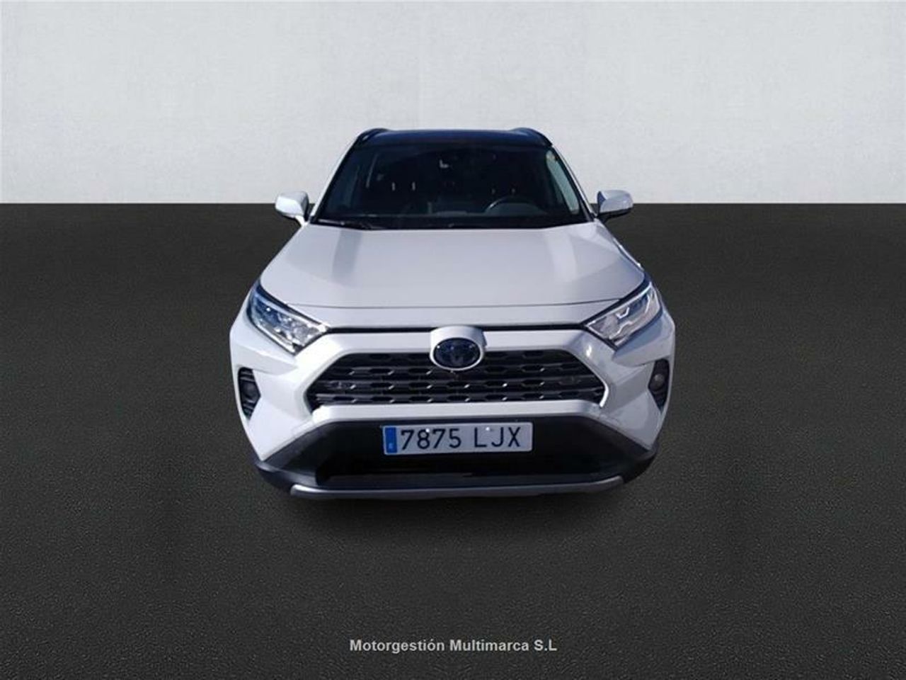 toyota rav4 2020 / foto grande (2)