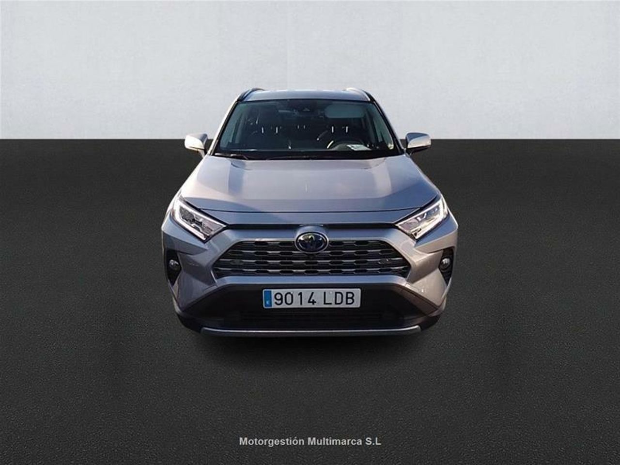 toyota rav4 2019 / foto grande (2)