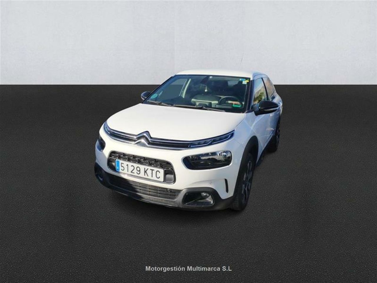 citroën c4 cactus 2019 /