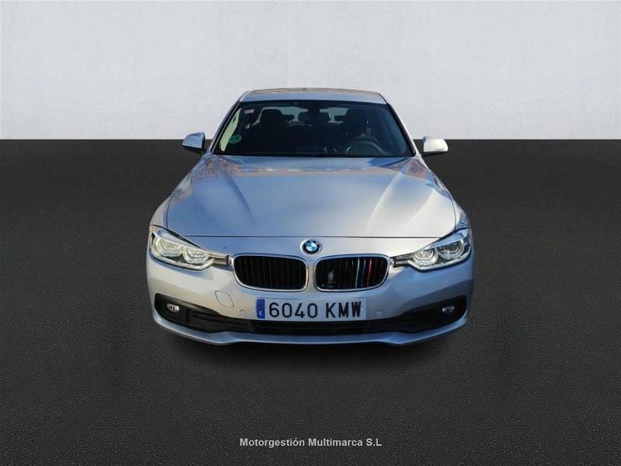 bmw serie 3 2018 / foto grande (2)